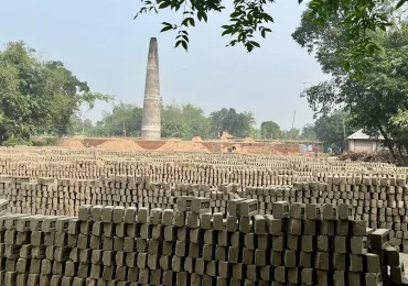 Bricks